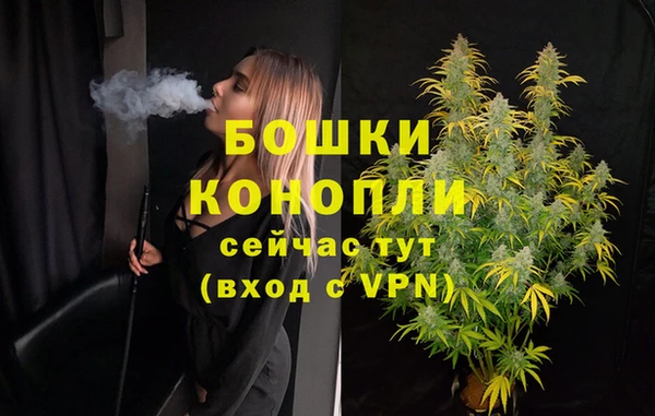 дмт Осташков