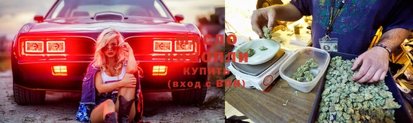 дмт Осташков